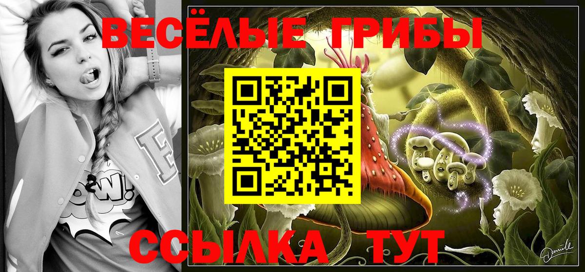 Псилоцибиновые грибы прущие грибы Волоколамск