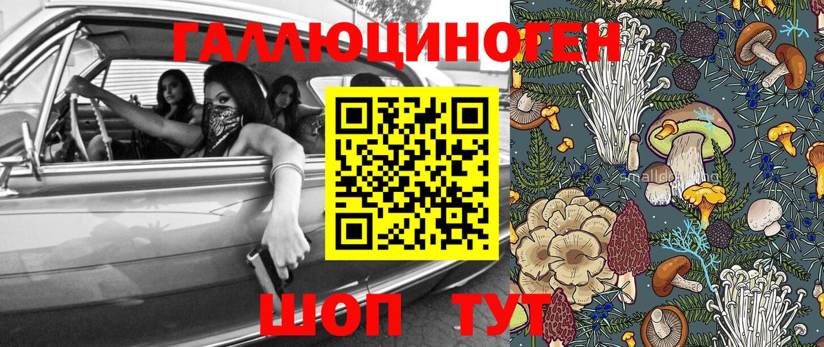 Псилоцибиновые грибы мухоморы  Вход с VPN  Волоколамск 